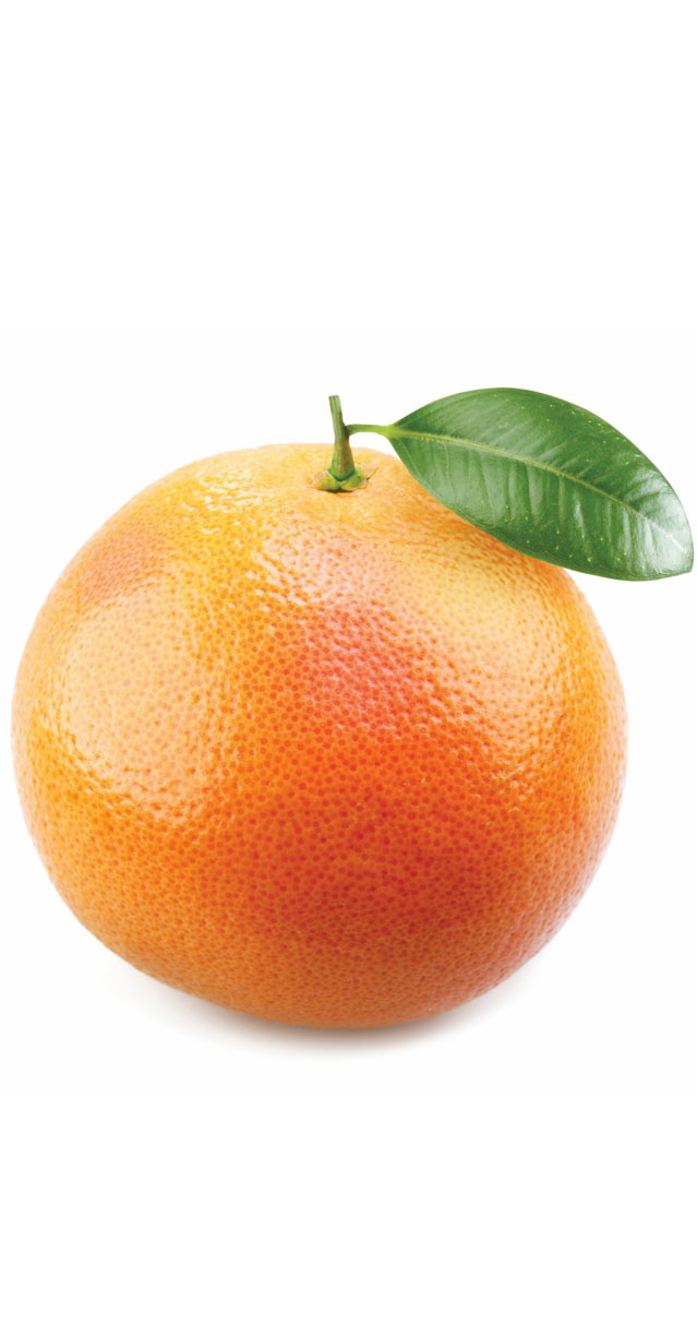 Toranja